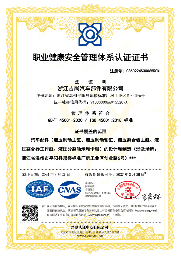 GB/T 45001-2020/ISO 45001:2018